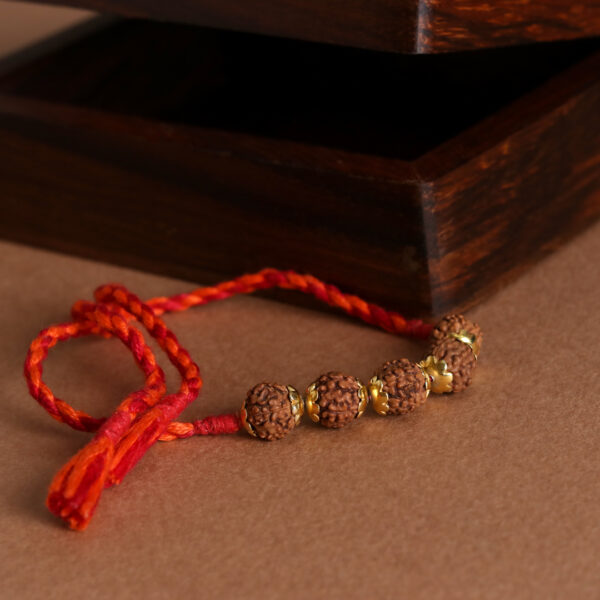 Rudraksh Rakhi